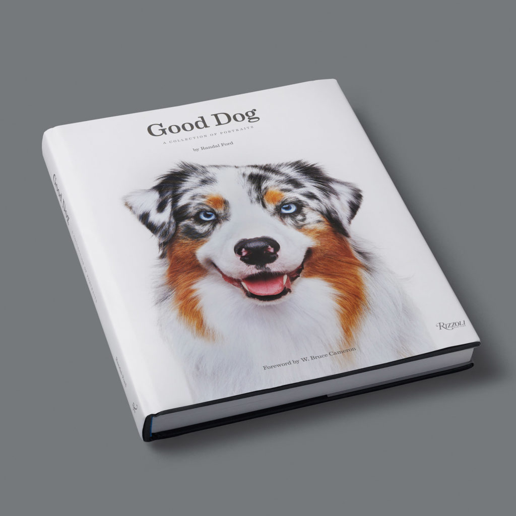 Randal Ford Good Dog Book Cover 1 1